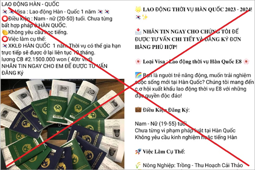 Quảng cáo lừa đảo XKLĐ Hàn Quốc diện visa E8 đi làm thời việc thời vụ nông nghiệp