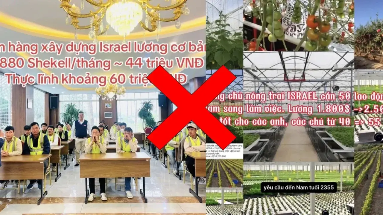 Cảnh báo lừa đảo xuất khẩu lao động Israel: 5 sự thật bạn cần biết! 2 canh bao lua dao xuat khau lao dong israel - xkld israel chưa duoc cap phep chinh thuc (3) (1)