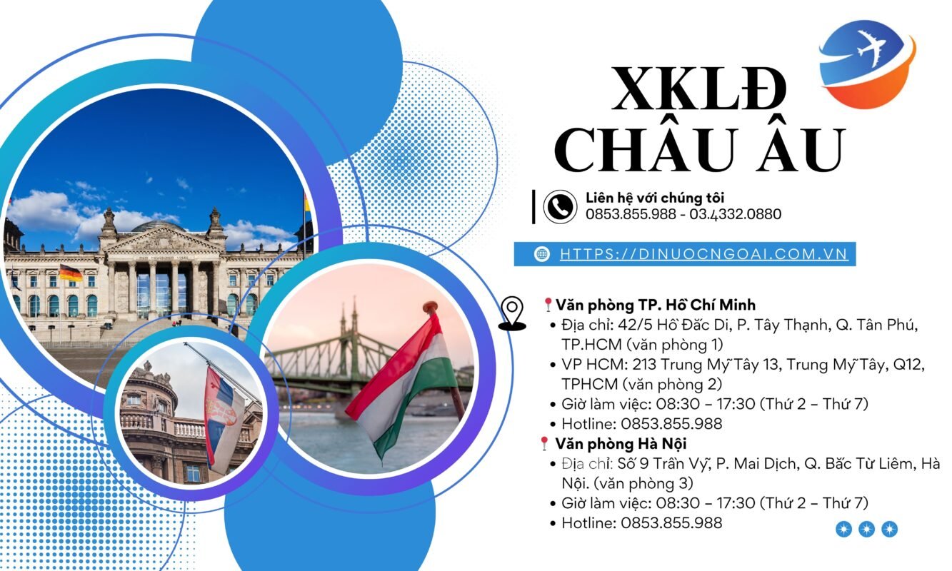 45 tuổi có đi xuất khẩu lao động châu Âu được không? Cơ hội, thách thức & kinh nghiệm thực tế 16 45 tuổi có đi xuất khẩu lao động châu âu được không?