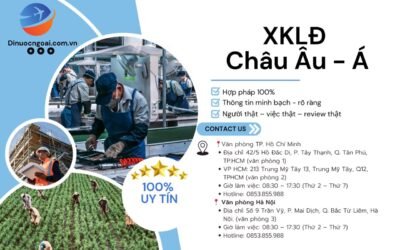 50 tuổi có đi xuất khẩu lao động được không? Toàn cảnh và giải pháp cho người lao động trung niên
