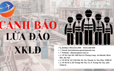 Cảnh Báo: Lừa Đảo Xuất Khẩu Lao Động Châu Âu – 5 Sự Thật Bạn Nhất Định Phải Biết Trước Khi Quá Muộn