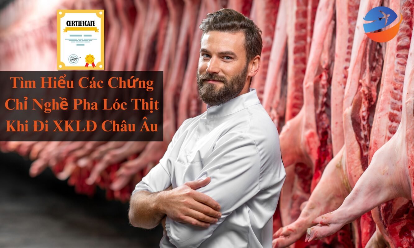XKLĐ Pha Lóc Thịt 2025: Top 5 Quốc Gia Tuyển Thợ Pha Lóc Thịt (Lương >1 Tỷ) & Yêu Cầu Chứng Chỉ Bắt Buộc Blue And Black Modern Cargo Logistics Services Outdoor Banner 5