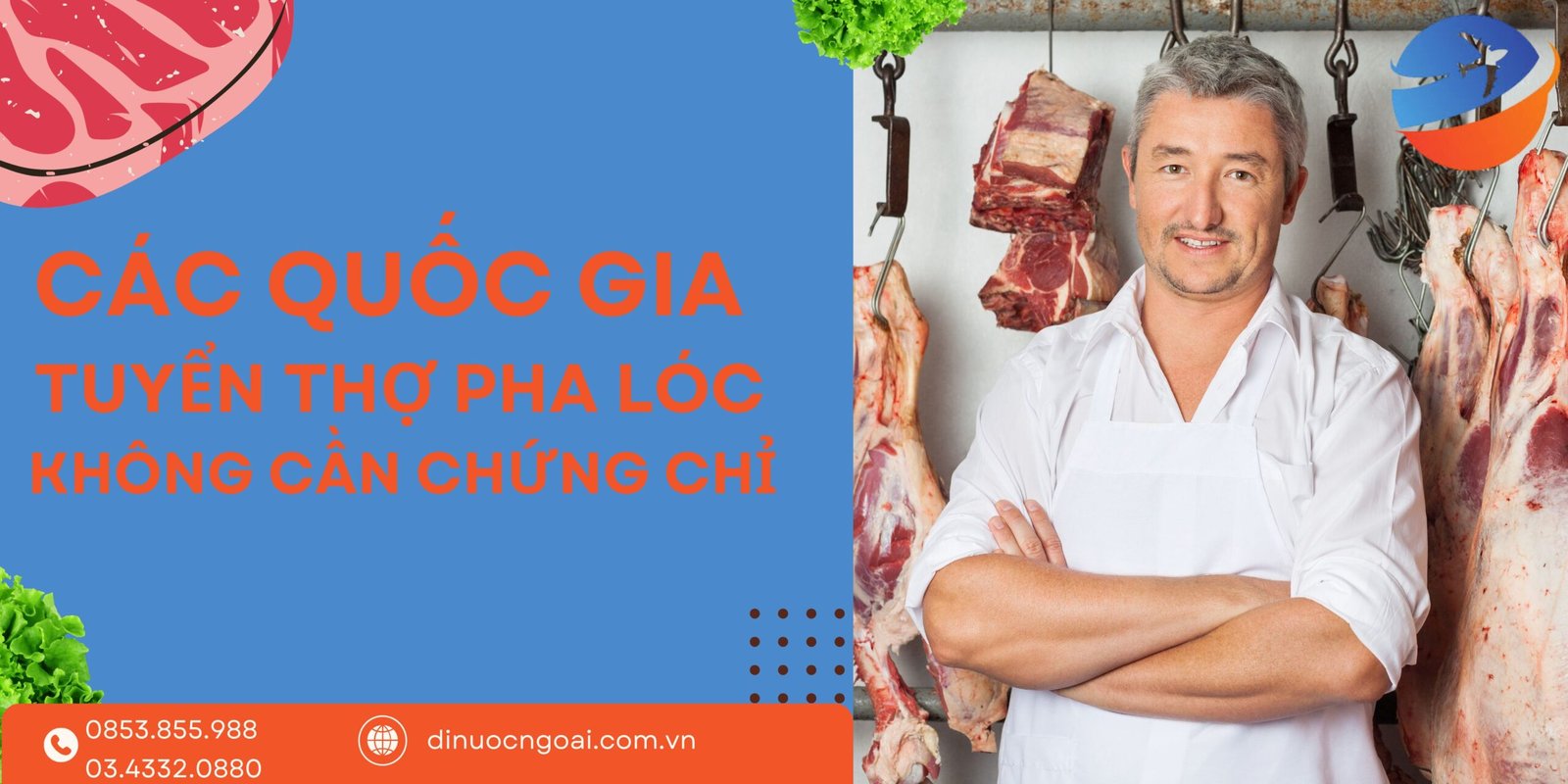 Tuyển Thợ Đi XKLĐ Pha Lóc Thịt Châu Âu: Không Cần Chứng Chỉ, Lương Cao, Dễ Đậu