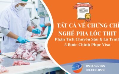 Chứng Chỉ Nghề Pha Lóc Thịt Quốc Tế Được Cả Thế Giới Săn Đón Với Mức Lương Khủng Và Cơ Hội Định Cư Châu Âu Cao
