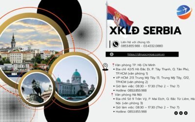 Hướng Dẫn Chi Tiết Xử Lý Sự Cố Khi Đi Lao Động Serbia 2025