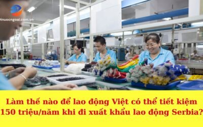 Mức lương thực tế của lao động Việt tại Serbia 2025: Thông tin mới nhất, kinh nghiệm thực tế & giải đáp tất cả thắc mắc
