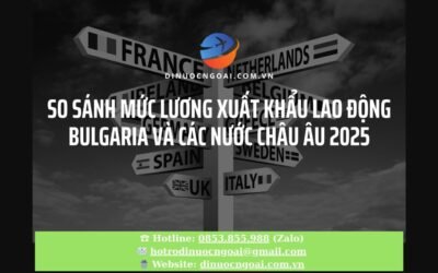 So Sánh Mức Lương Xuất Khẩu Lao Động Bulgaria và Các Nước Châu Âu 2025