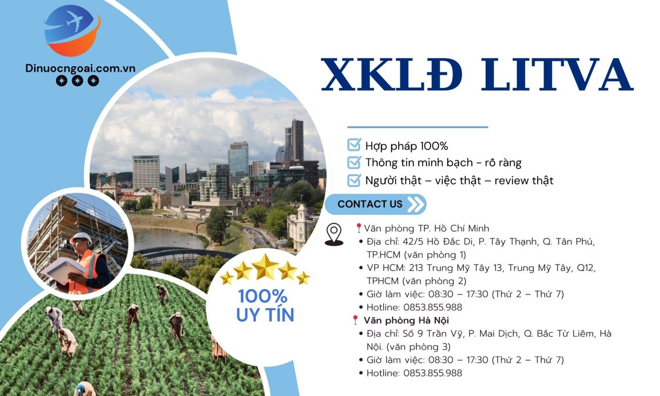 So sánh mức lương xuất khẩu lao động Litva và các nước Châu Âu 2025 14 Xuất Khẩu Lao Động Litva 2025: Toàn Bộ A-Z (Điều Kiện, Chi Phí, Lương & Hướng Dẫn)