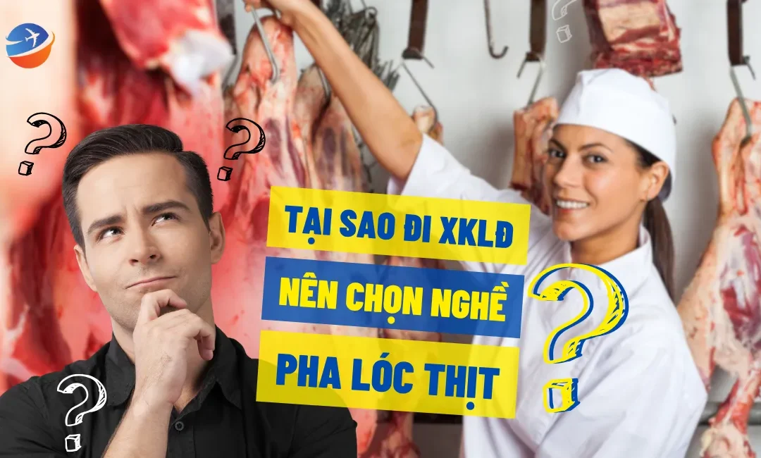 6 ly do tai sao di xuat khau lao dong nen chon nghe pha loc thit
