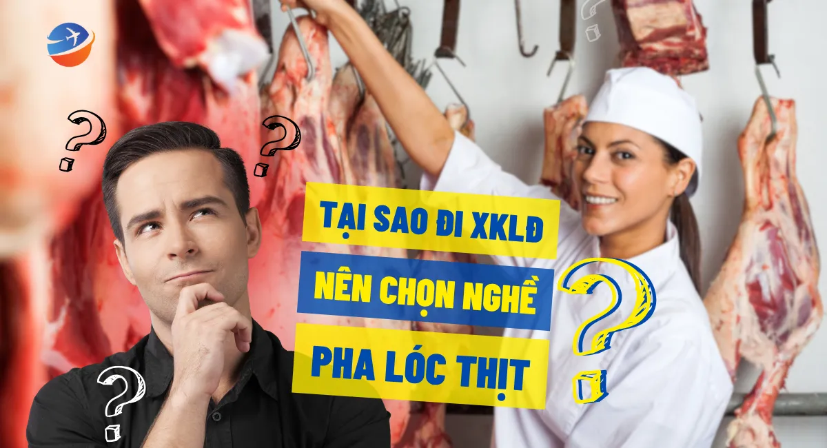6 ly do tai sao di xuat khau lao dong nen chon nghe pha loc thit