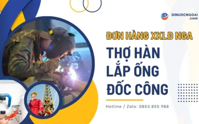 Đơn hàng XKLĐ Nga: Tuyển 200 thợ hàn 6G, lắp ống, đốc công đi làm việc tại Nga