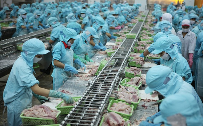Tổng hợp những đơn hàng xuất khẩu lao động Nga mới nhất & uy tín nhất hiện nay 6 Đơn hàng xuất khẩu lao động Nga ngành nghề chế biến thực phẩm, thủy sản