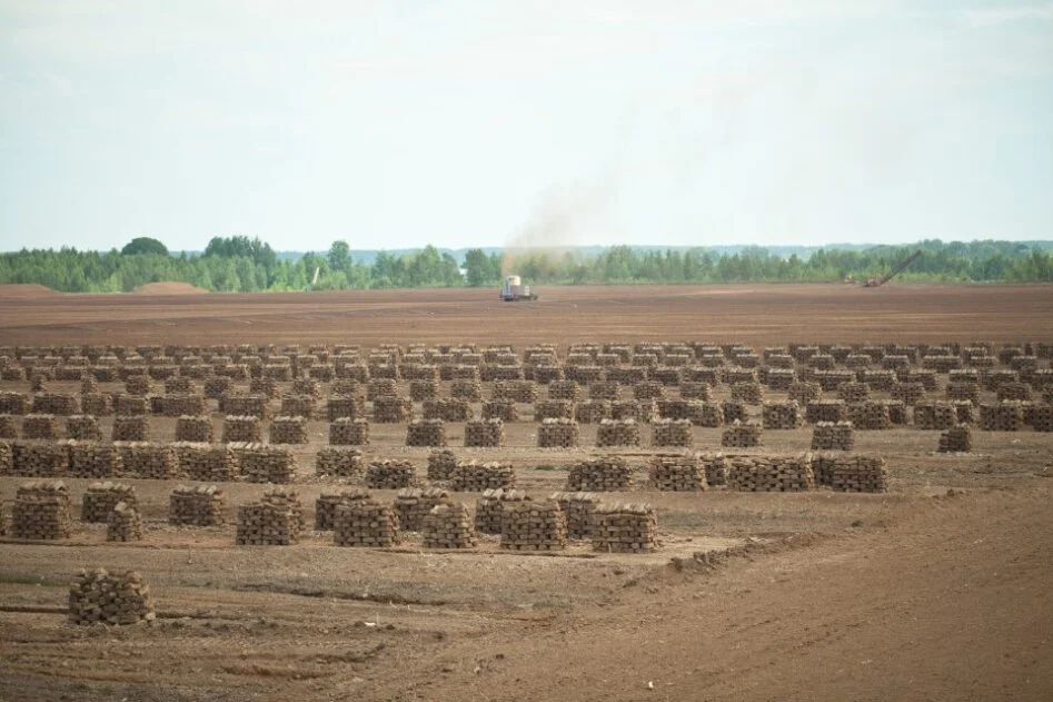 Tuyển công nhân bốc xếp đi Latvia lương 40-70 triệu/tháng | Cơ hội việc làm & định cư châu Âu giá rẻ nhất 3 Công nhân bốc xếp đất khoáng để phơi khô trên cánh đồng tại Latvia