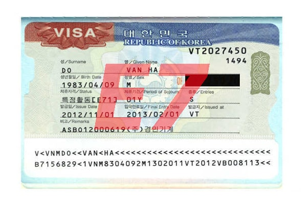 Quy trình xin visa E7 Hàn Quốc từ A–Z