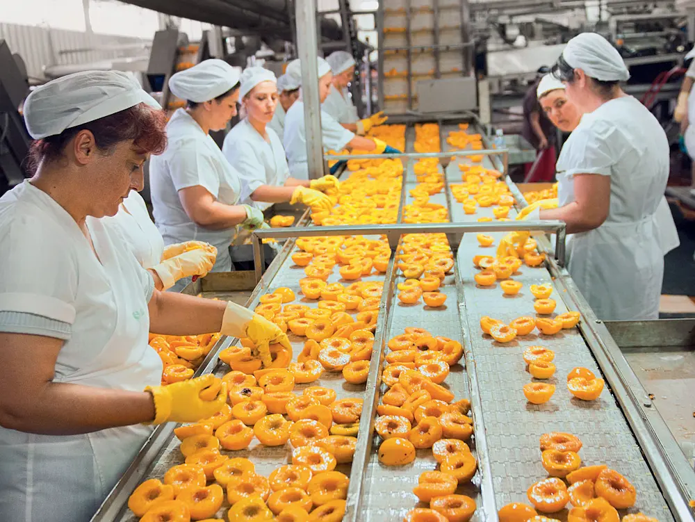 Tìm hiểu Xuất khẩu lao động Hy Lạp từ A-Z: công việc, lương, phí, điều kiện, quy trình & cách chọn công ty XKLĐ Hy Lạp uy tín 13 việc làm hy lạp ngành chế biến thực phẩm