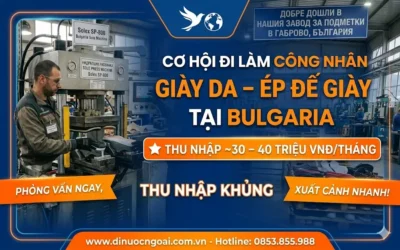 Tuyển công nhân làm đế giày đi Bulgaria T5/2026