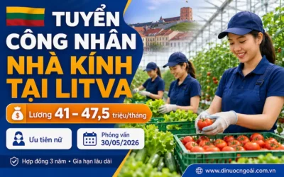 Tuyển công nhân nhà kính tại Litva lương đến 47 triệu/tháng – Xuất cảnh nhanh 2026